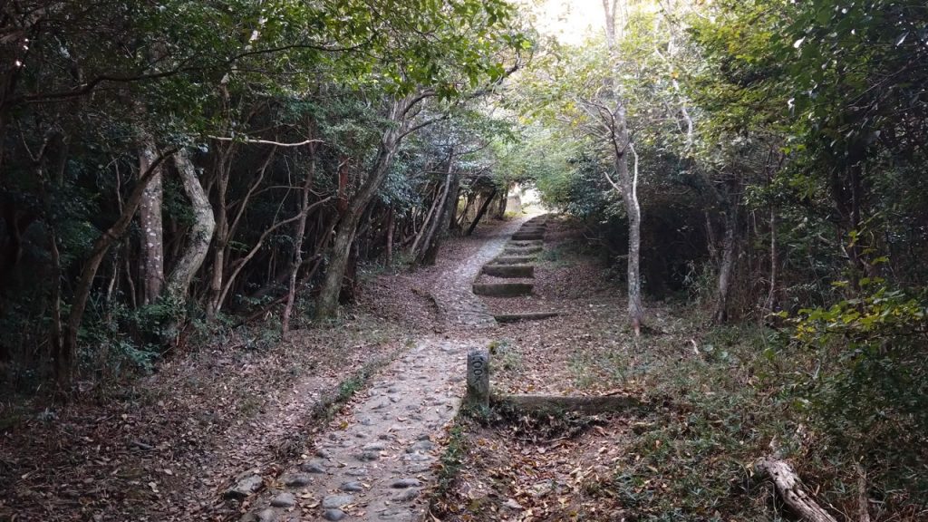登山コースの斜面